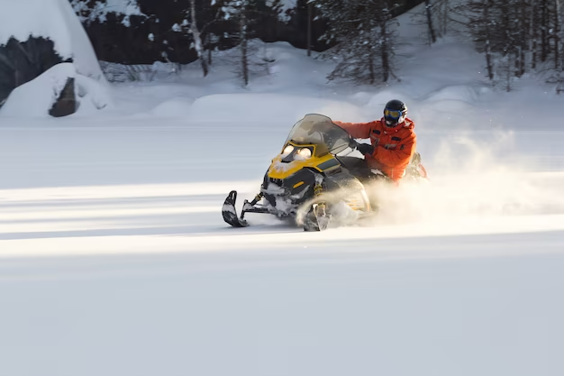 Snowmobile Clutching Problems: A Deep Dive