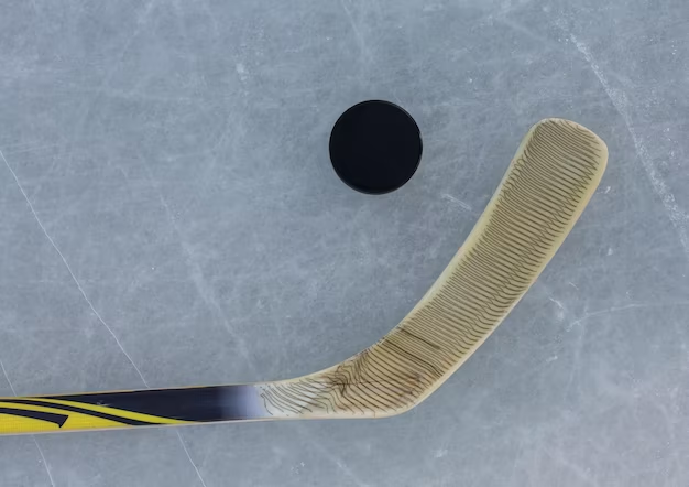 Hockey puck and stick on ice